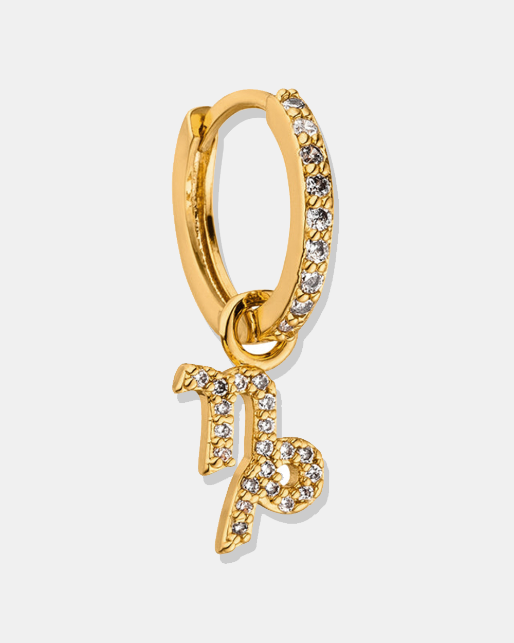 ZODIAC OHRRING