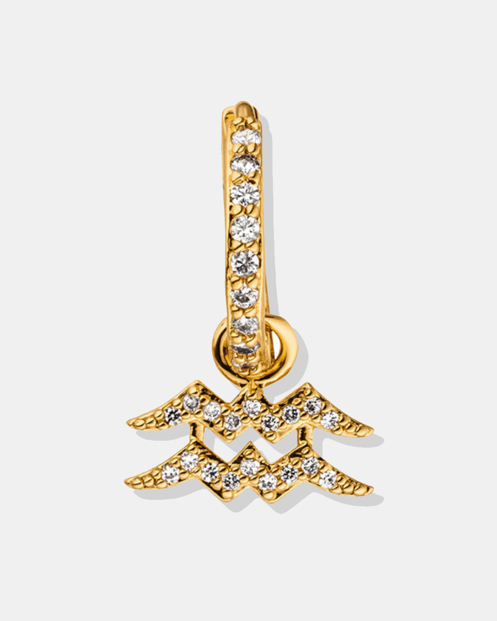 ZODIAC OHRRING